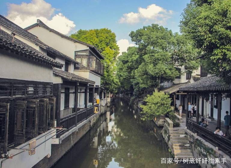 无休止的树